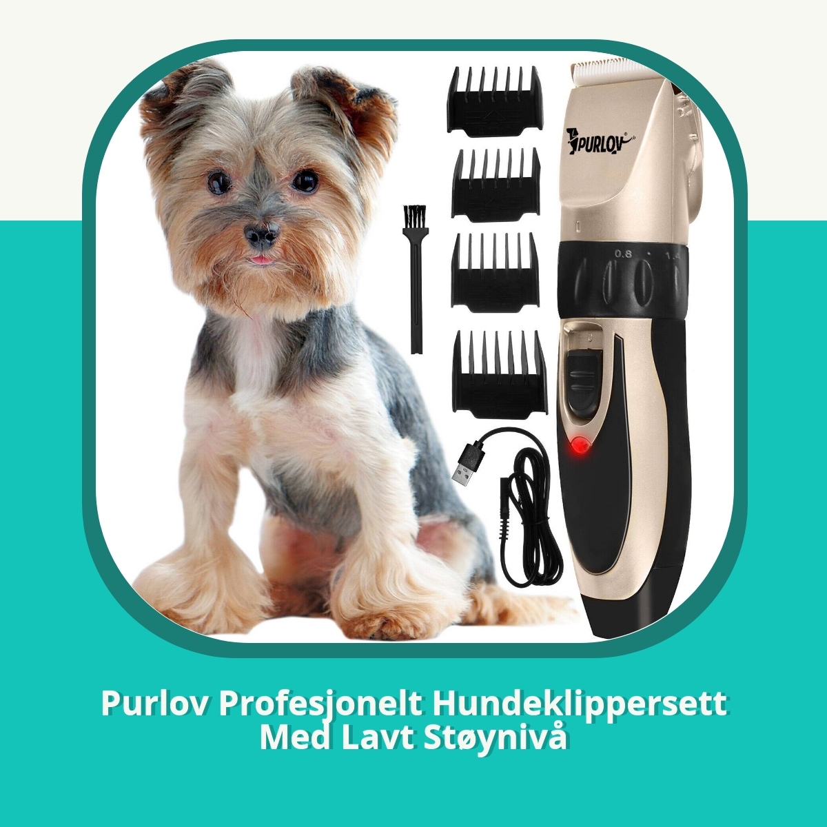 Anmeldelse af Purlov Profesjonelt Hundeklippersett Med Lavt Støynivå