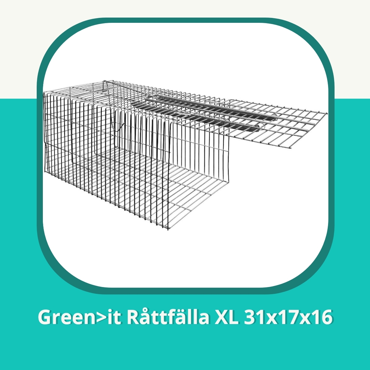 Recension af Green>it Råttfälla XL 31x17x16