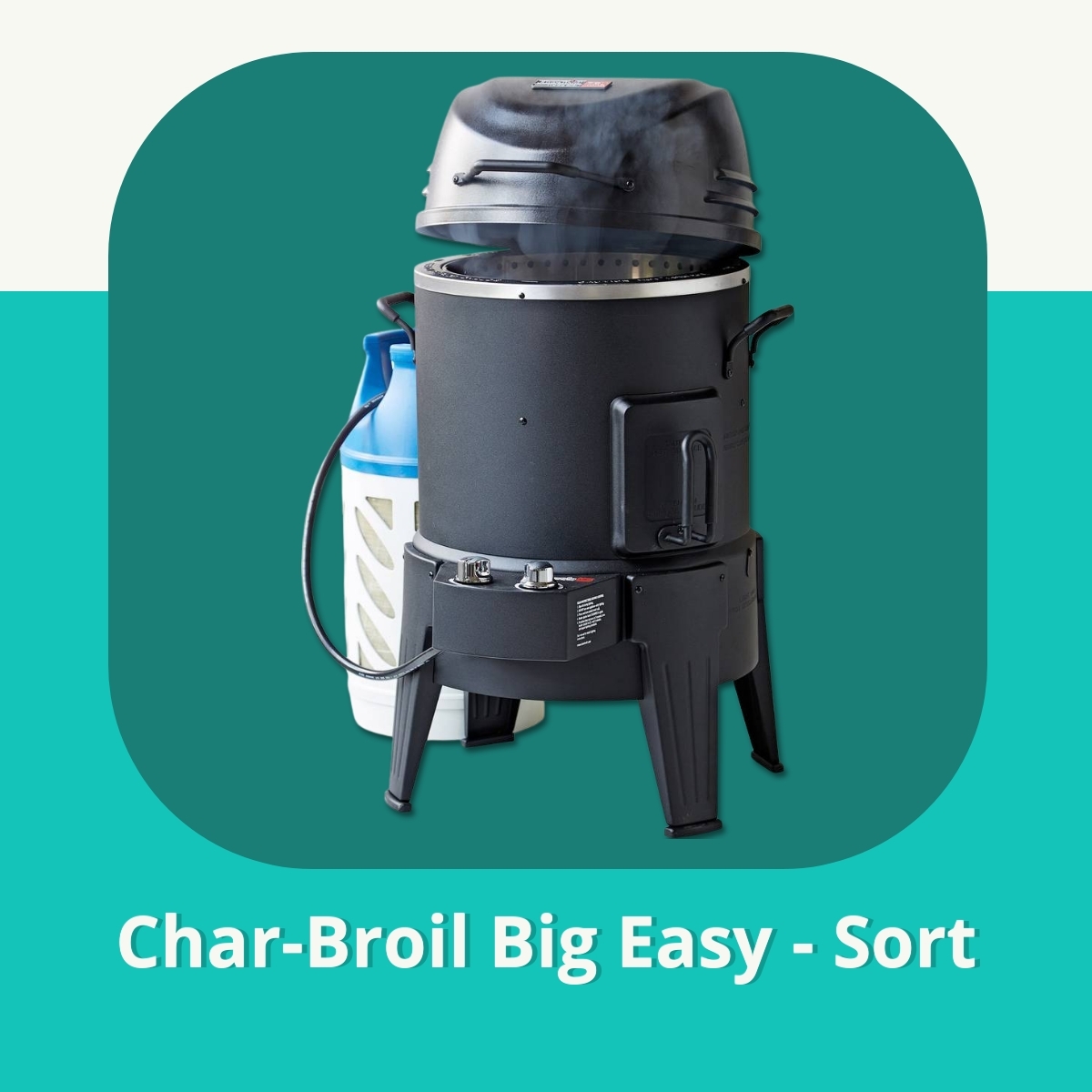 Anmeldelse af Char-Broil Big Easy - Sort