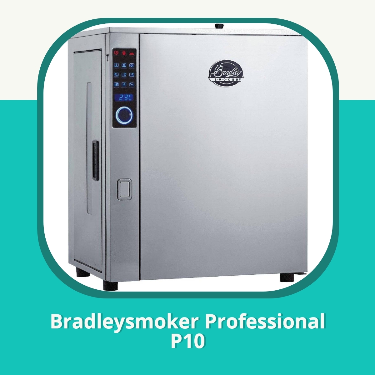 Anmeldelse af Bradleysmoker Professional P10