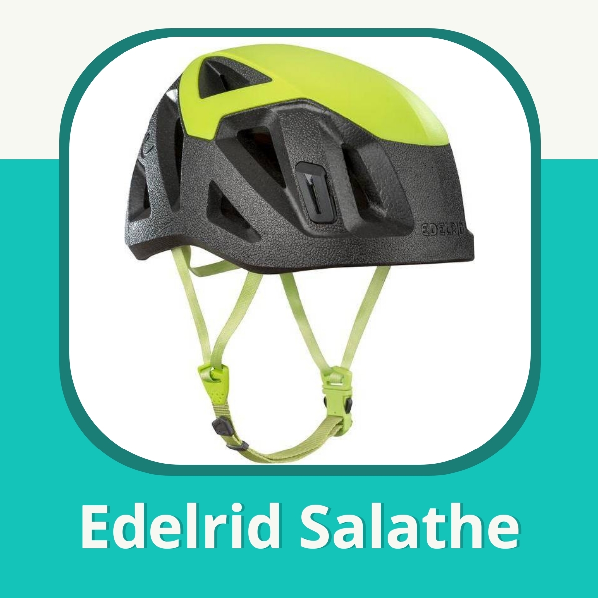 Recension af Edelrid Salathe