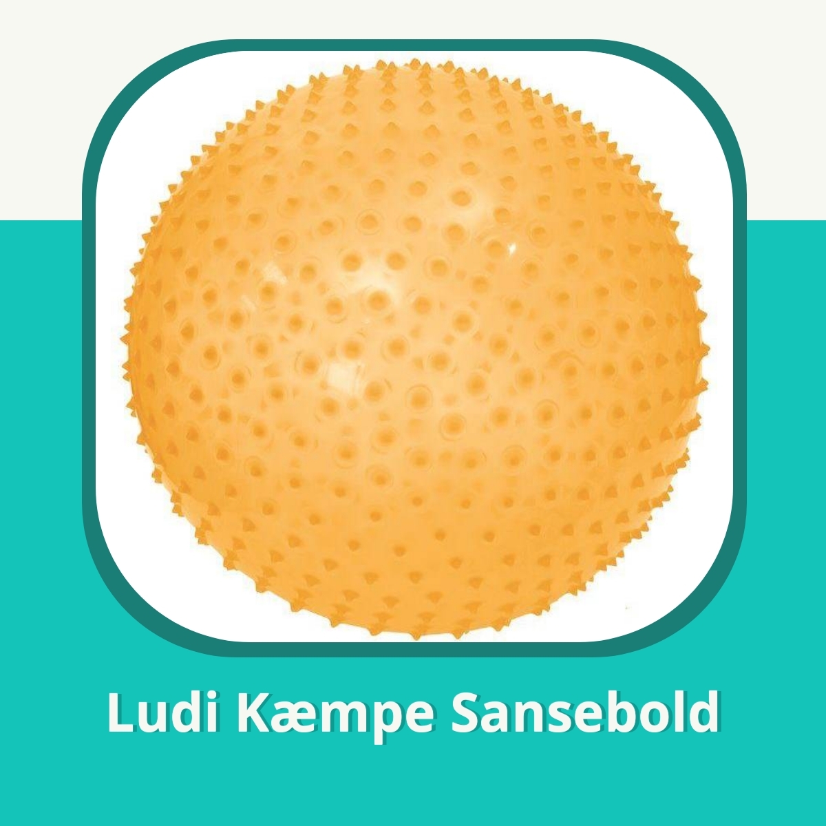 Anmeldelse af Ludi KĂŚmpe Sansebold