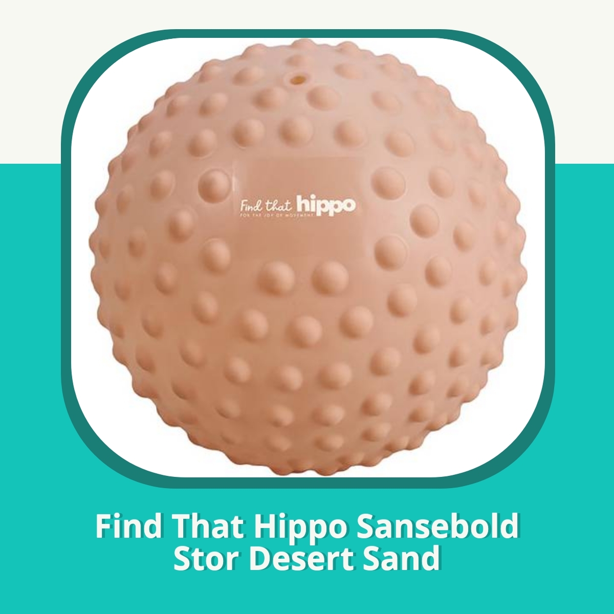 Anmeldelse af Find That Hippo Sansebold Stor Desert Sand