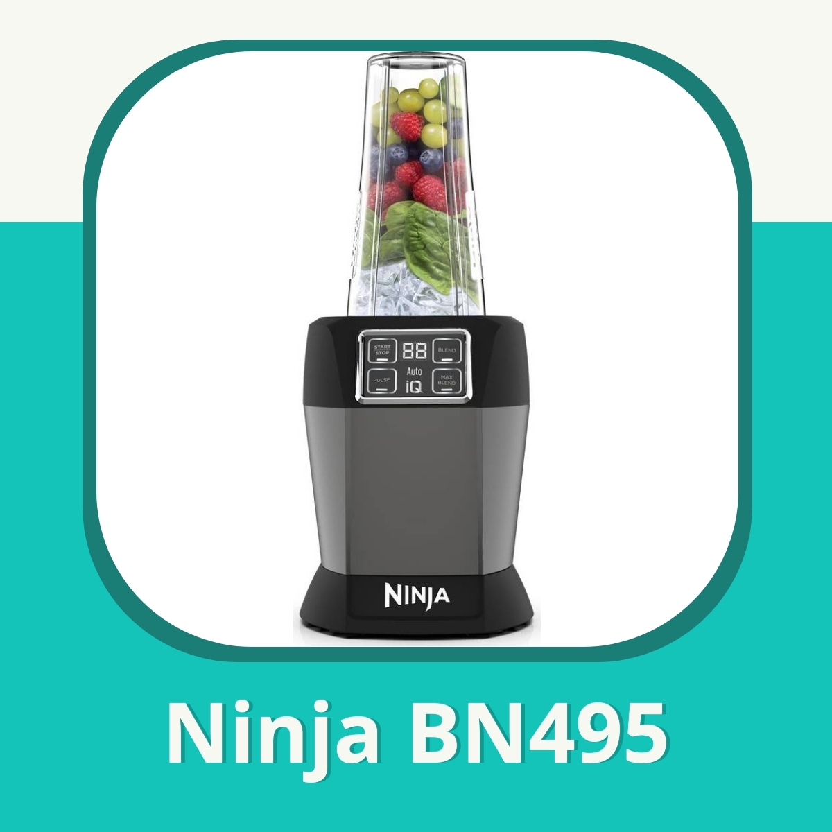Anmeldelse af Ninja BN495