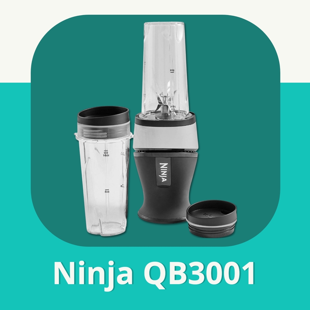 Anmeldelse af Ninja QB3001