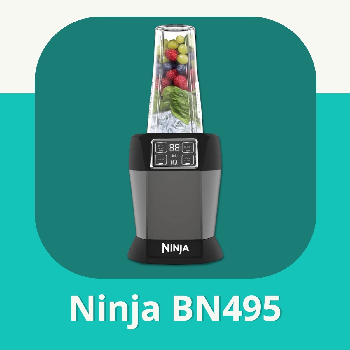 Anmeldelse af Ninja BN495