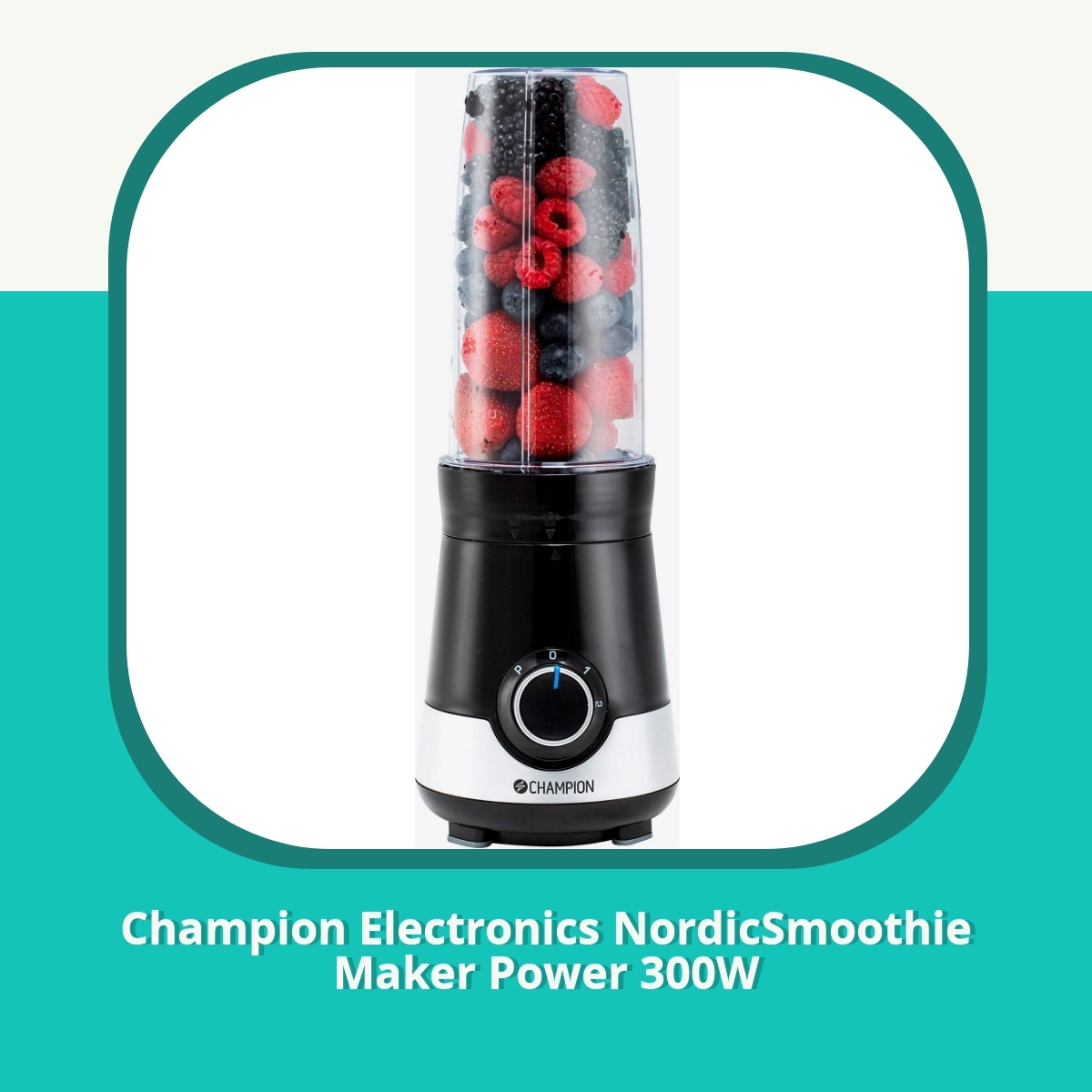 Anmeldelse Champion Electronics NordicSmoothie Maker Power 300W