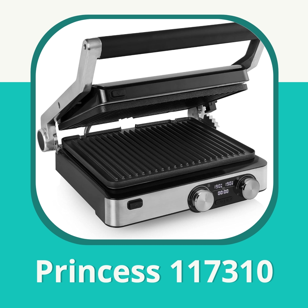 Recension af Princess 117310