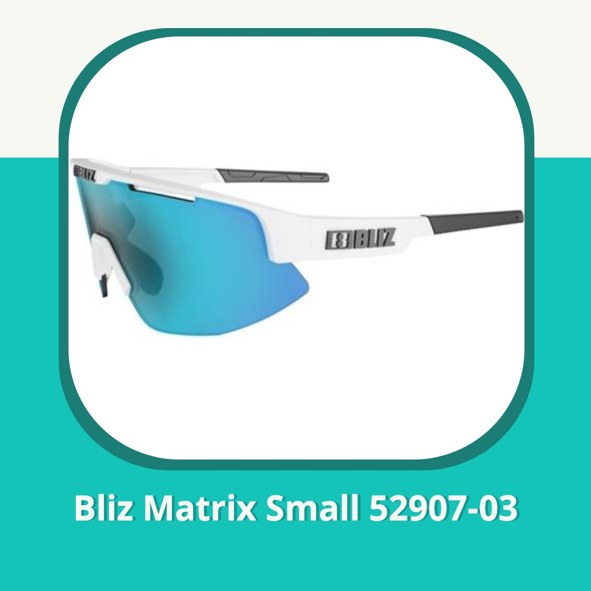 Recension af Bliz Matrix Small 52907-03
