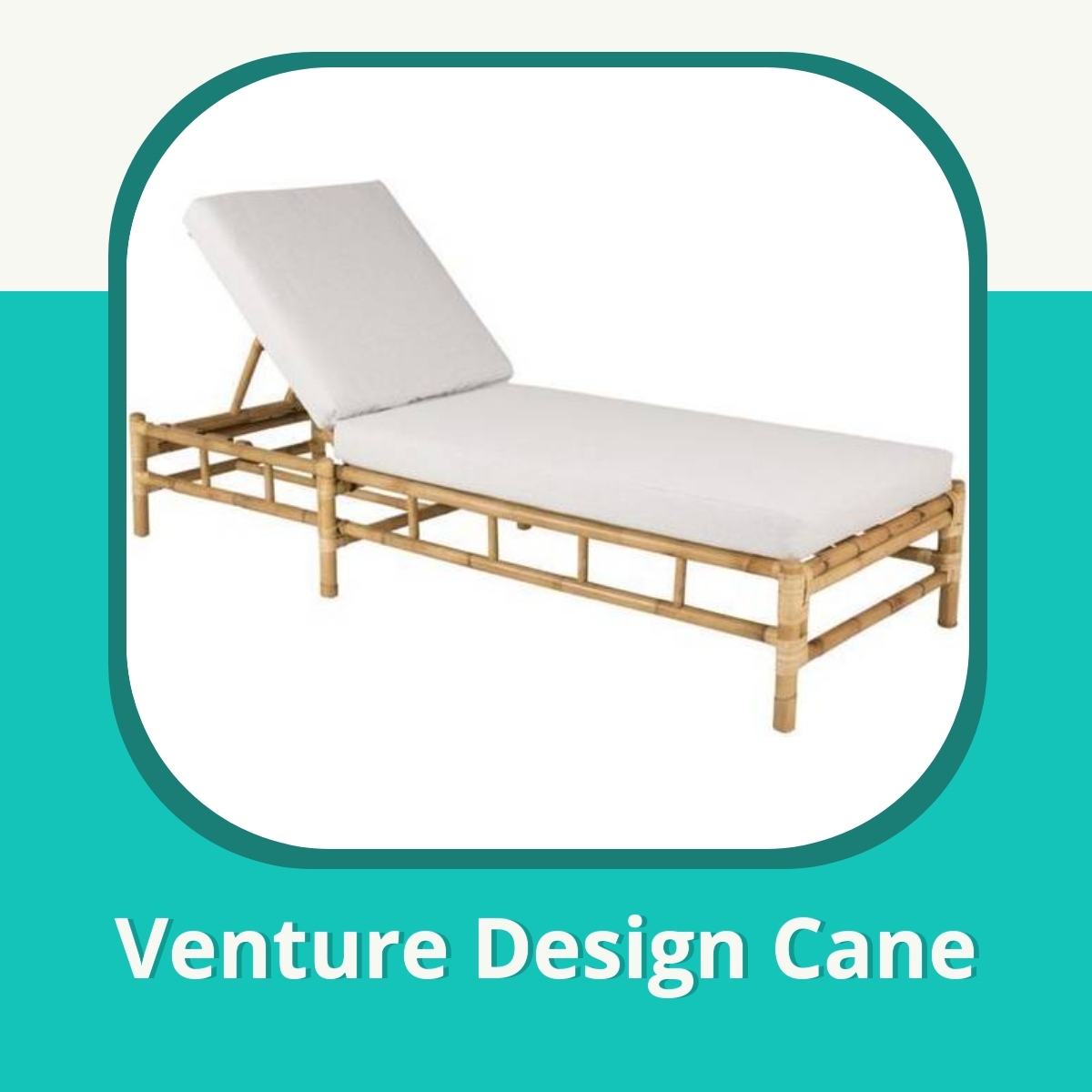 Anmeldelse Venture Design Cane
