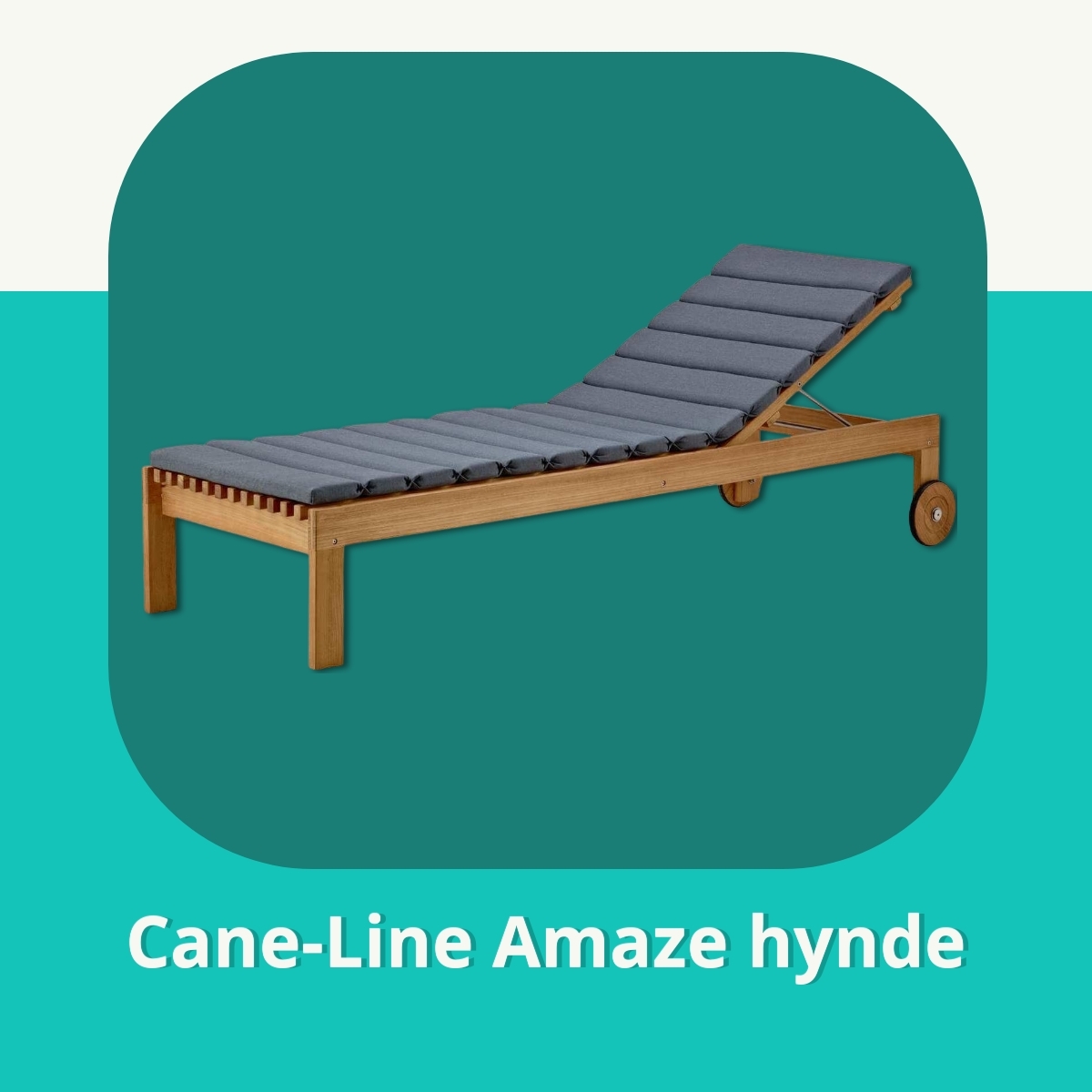 Anmeldelse af Cane-Line Amaze hynde