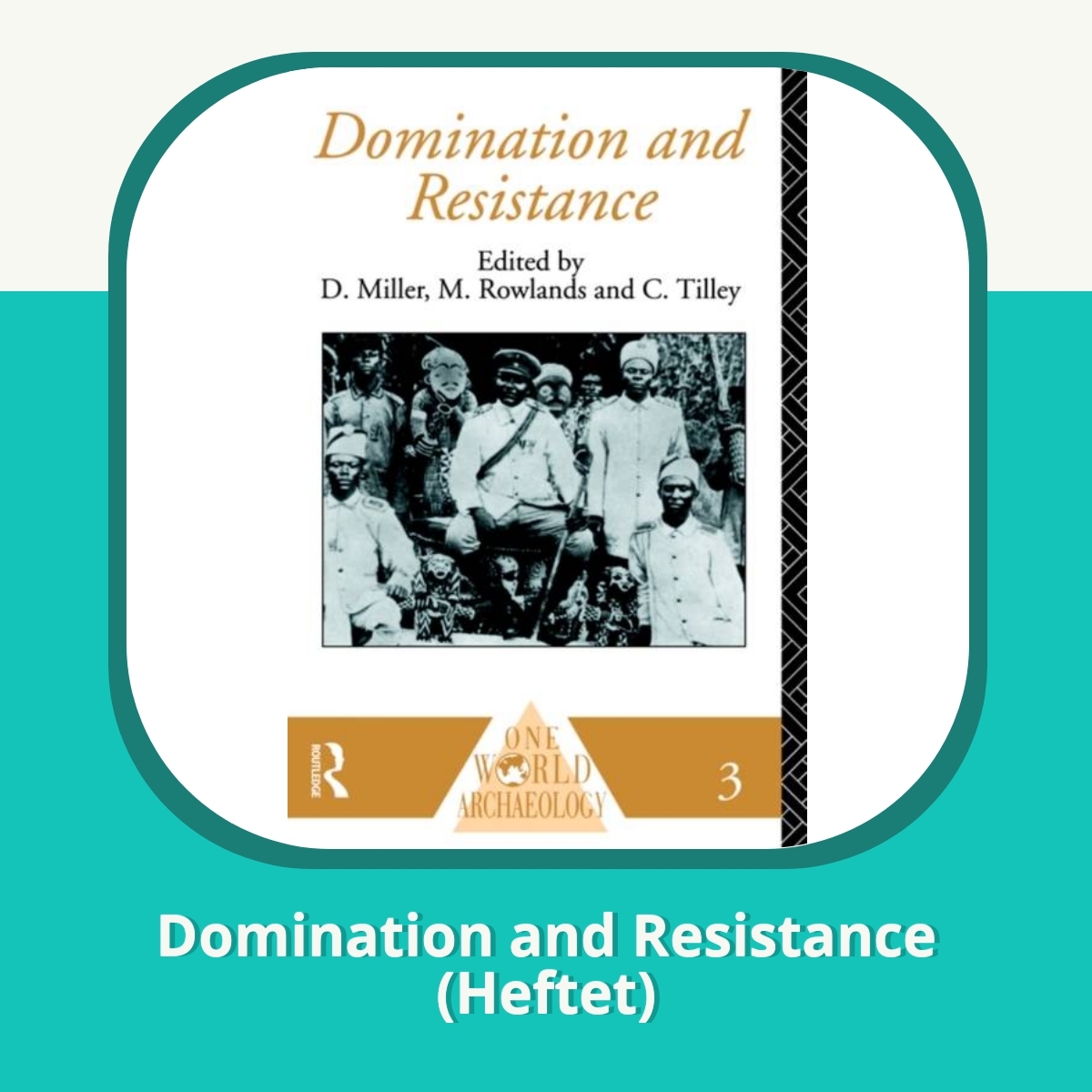 Anmeldelse af Domination and Resistance (Heftet)