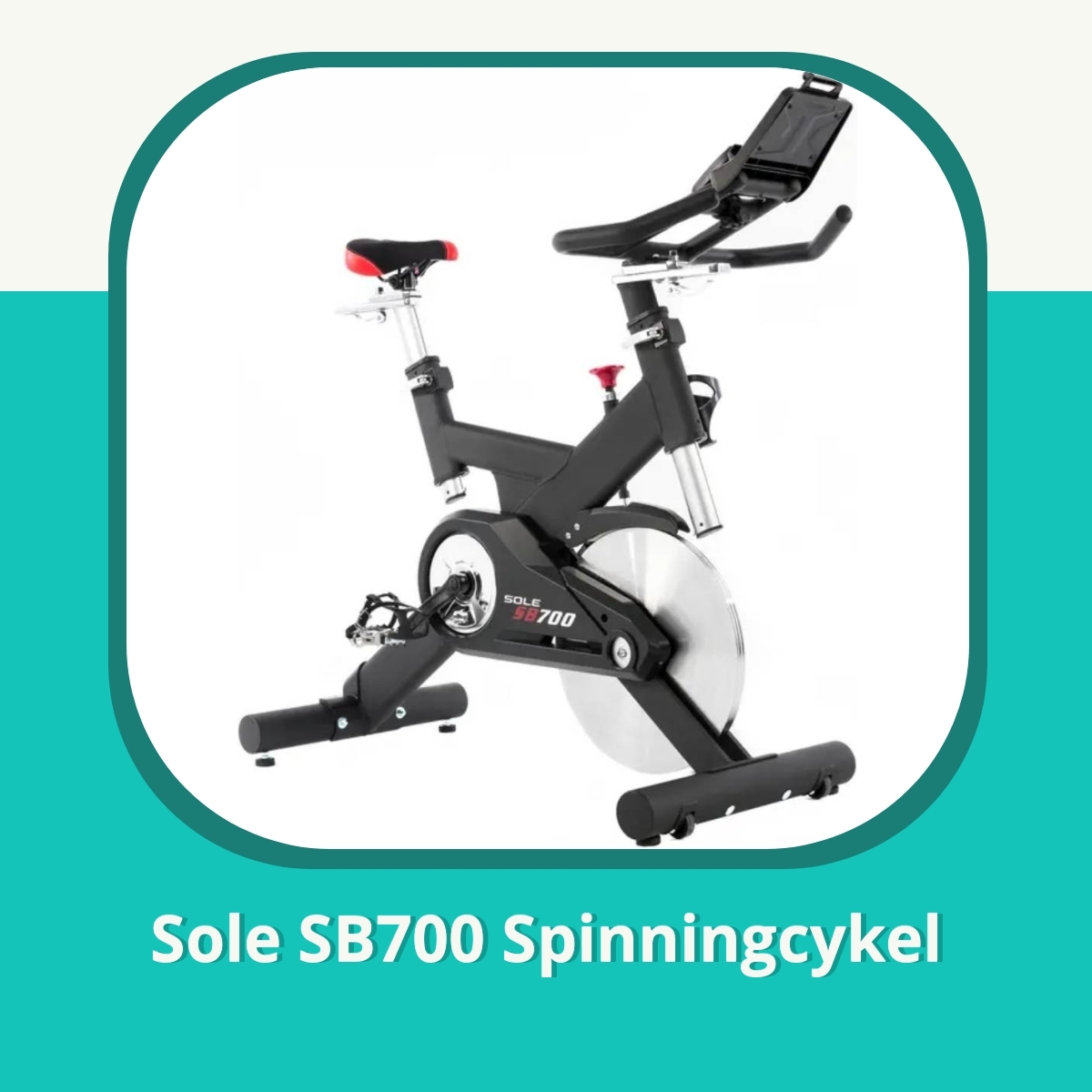 Anmeldelse af Sole SB700 Spinningcykel
