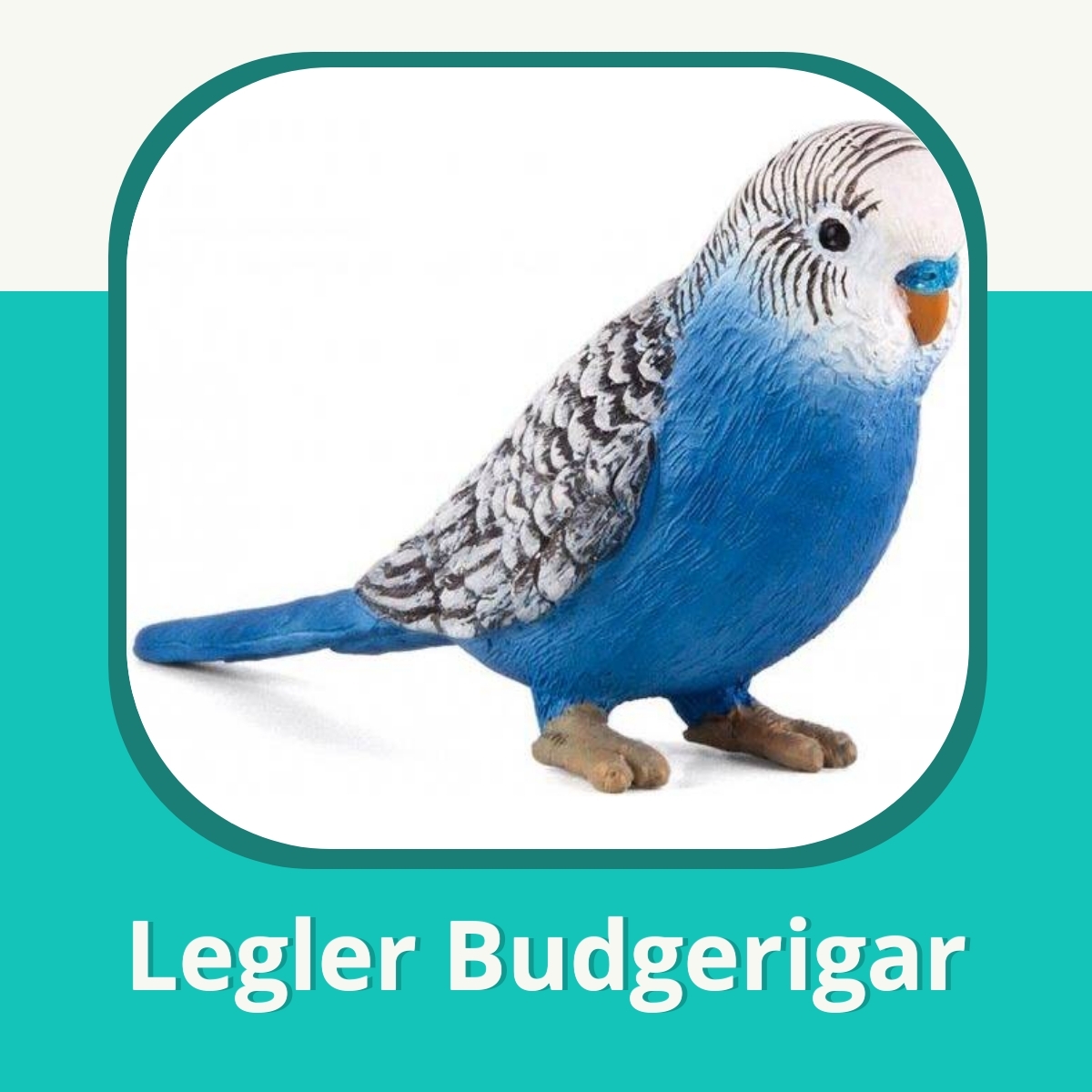 Anmeldelse af Legler Budgerigar