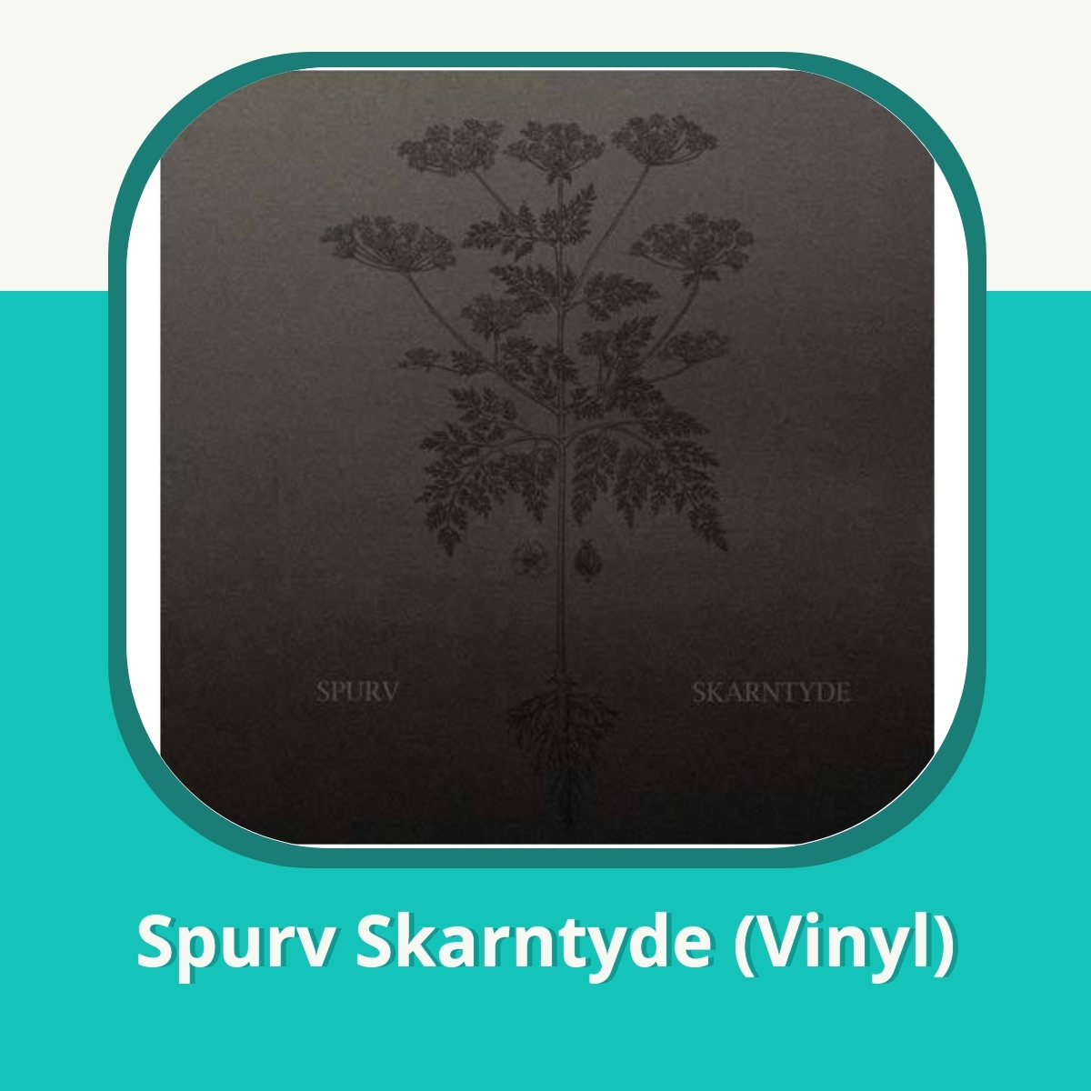 Anmeldelse af Spurv Skarntyde (Vinyl)