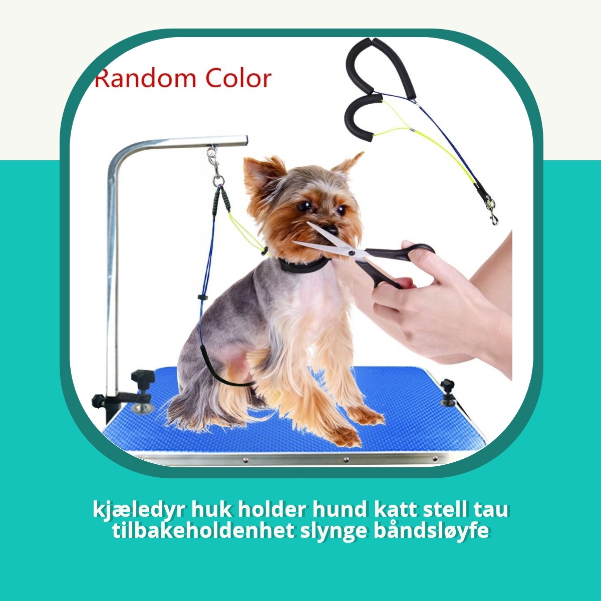 Anmeldelse af kjæledyr huk holder hund katt stell tau tilbakeholdenhet slynge båndsløyfe