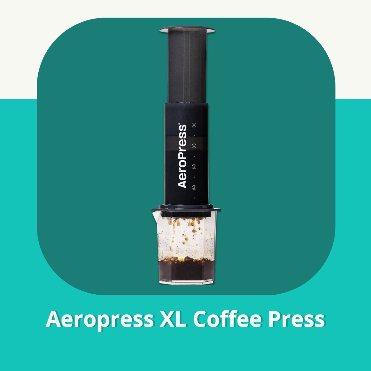 Anmeldelse af Aeropress XL Coffee Press