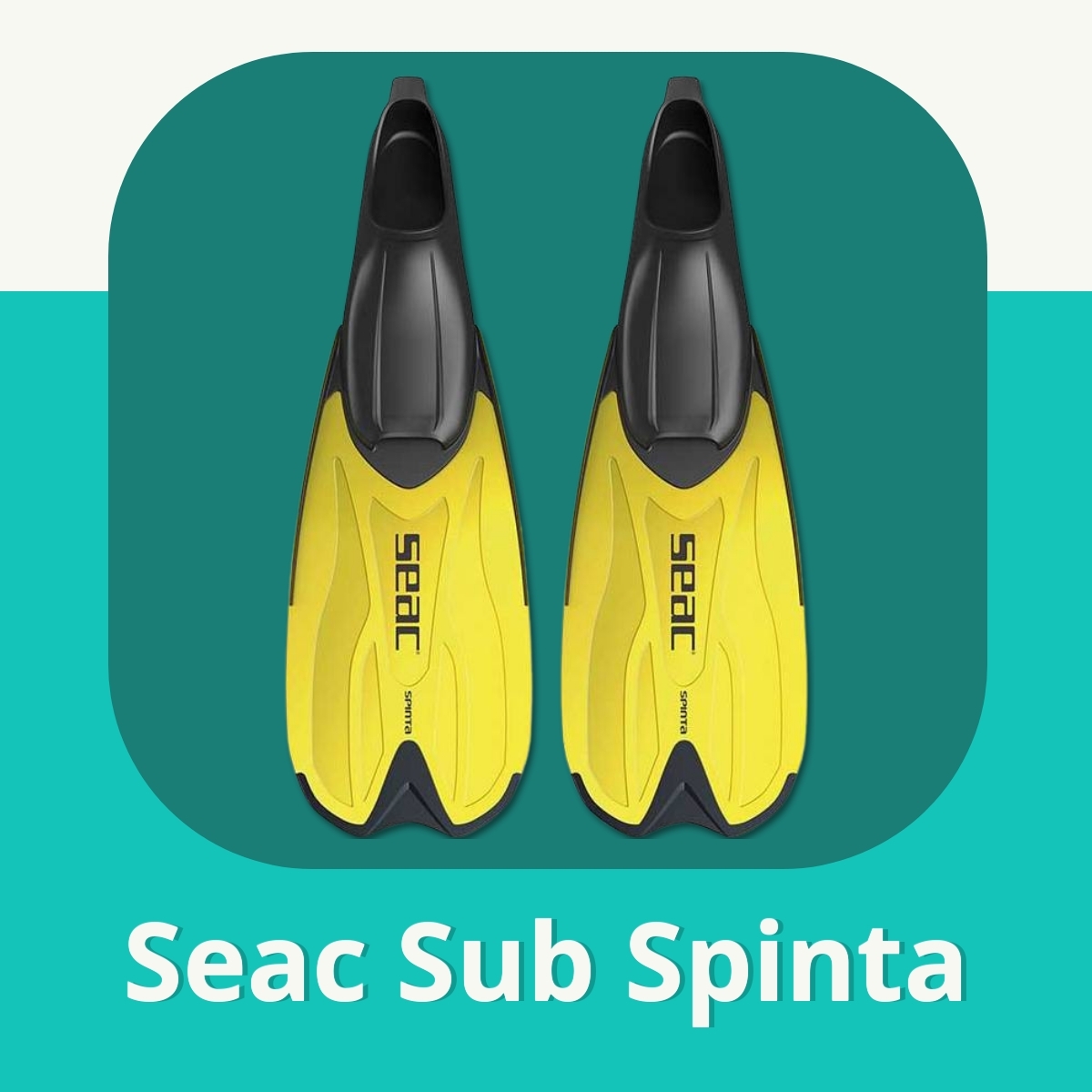 Anmeldelse af Seac Sub Spinta