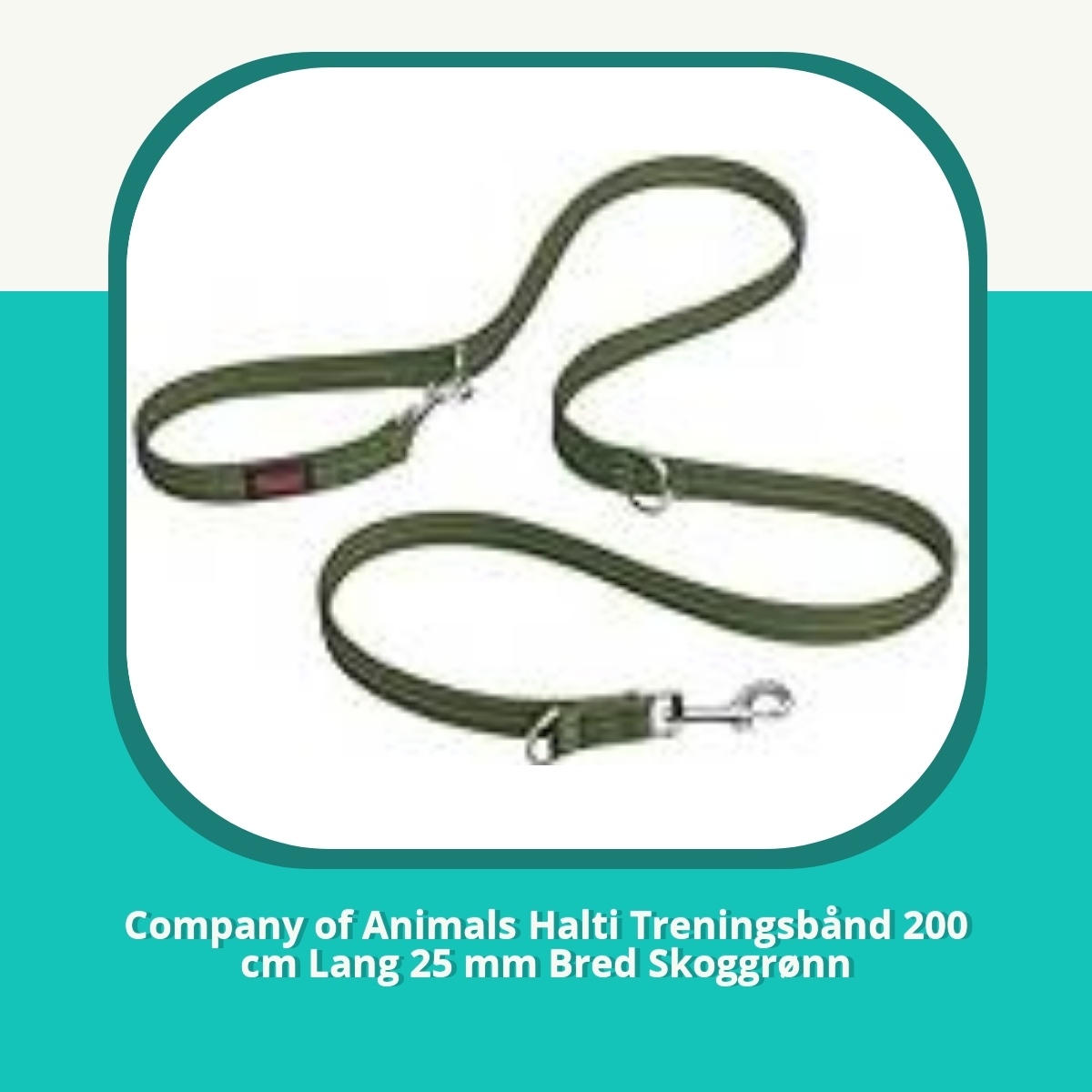 Anmeldelse af Company of Animals Halti Treningsbånd 200 cm Lang 25 mm Bred Skoggrønn