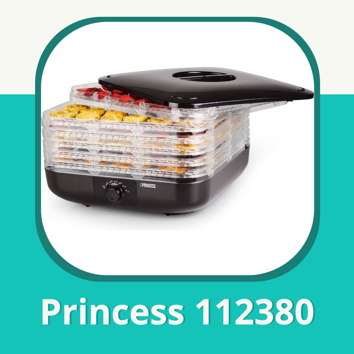 Anmeldelse Princess 112380