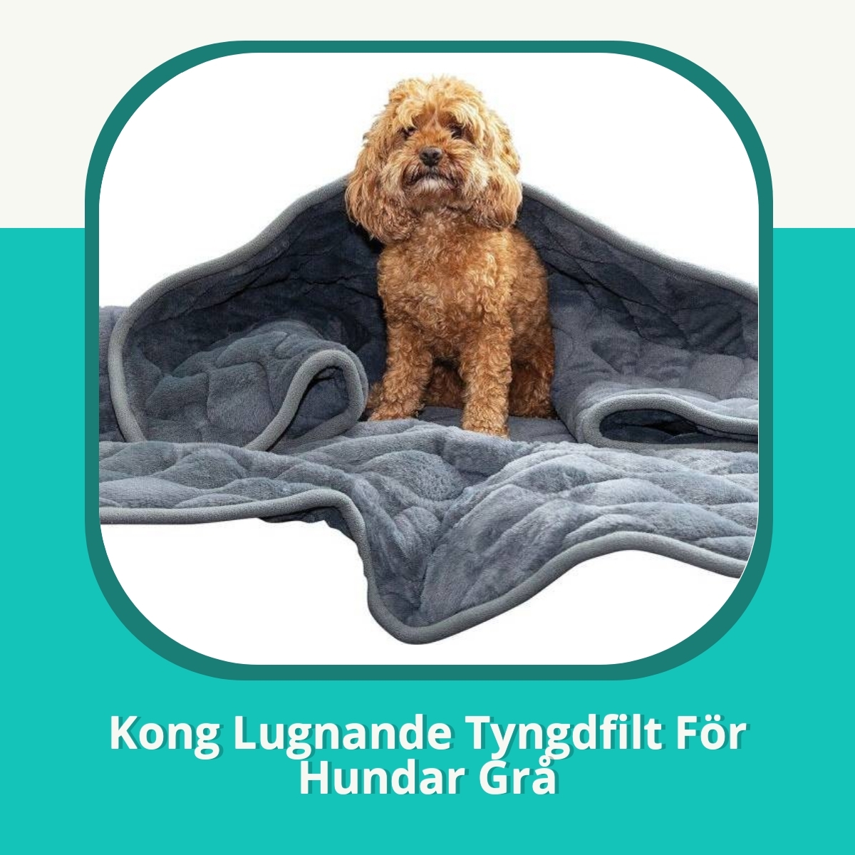 Recension af Kong Lugnande Tyngdfilt För Hundar Grå