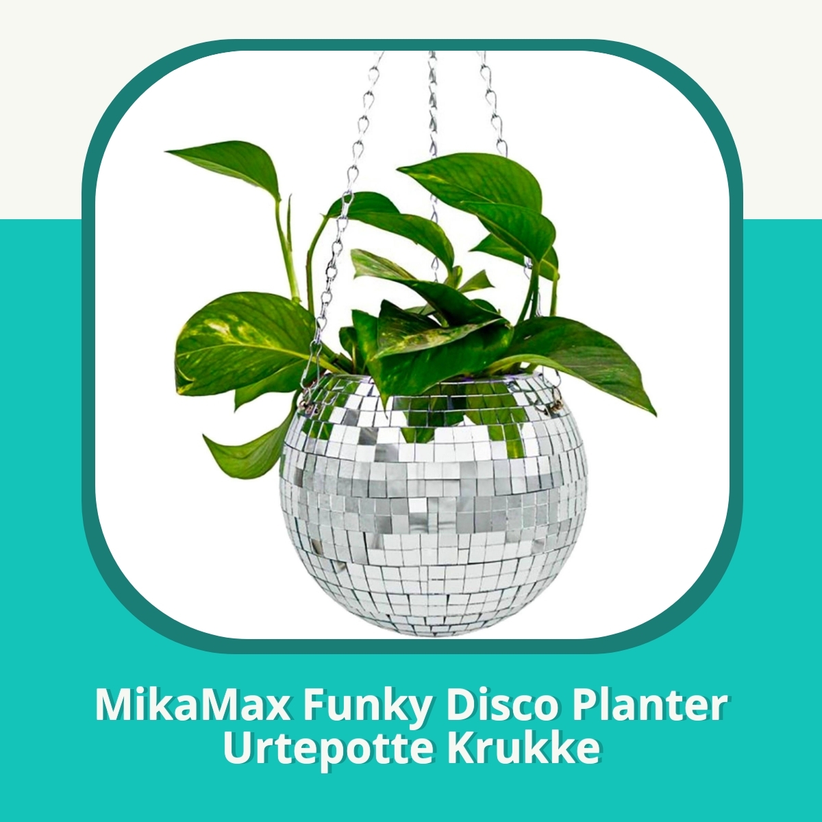 Anmeldelse af MikaMax Funky Disco Planter Urtepotte Krukke
