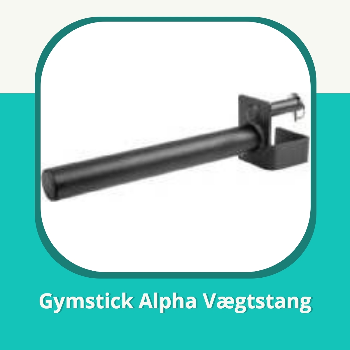 Anmeldelse af Gymstick Alpha Vægtstang