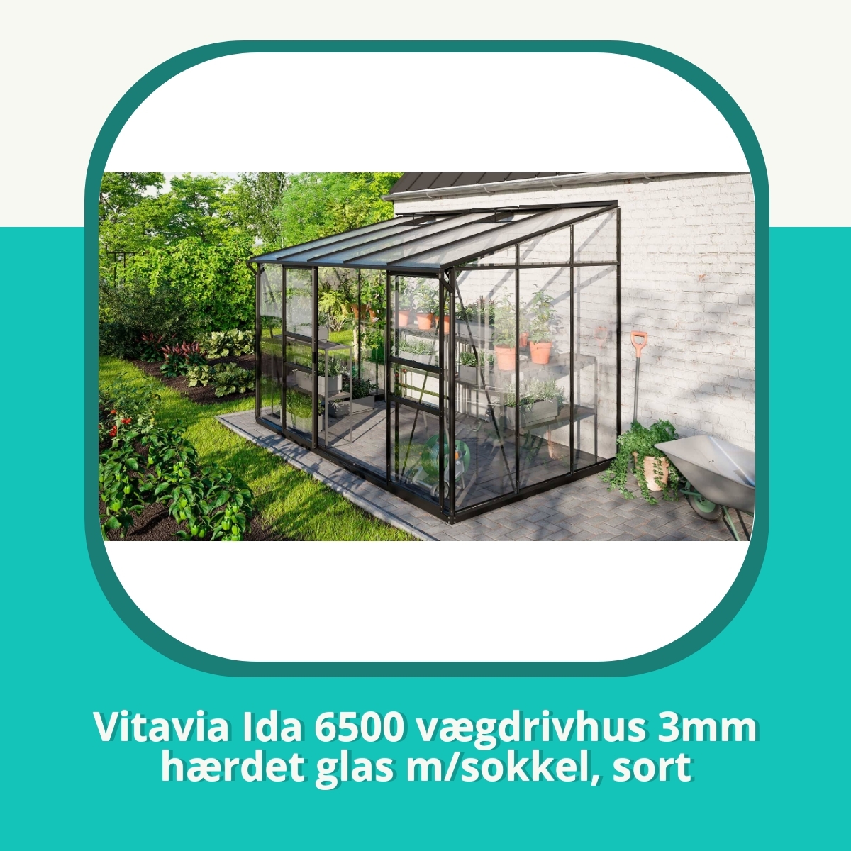 Recension af Vitavia Ida 6500 vægdrivhus 3mm hærdet glas m/sokkel, sort