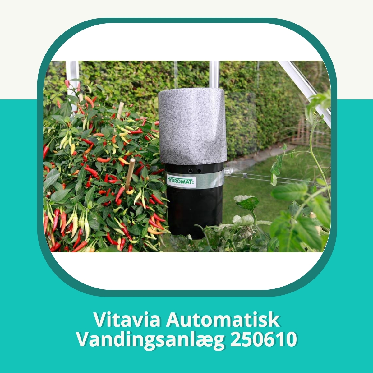 Anmeldelse af Vitavia Automatisk Vandingsanlæg 250610