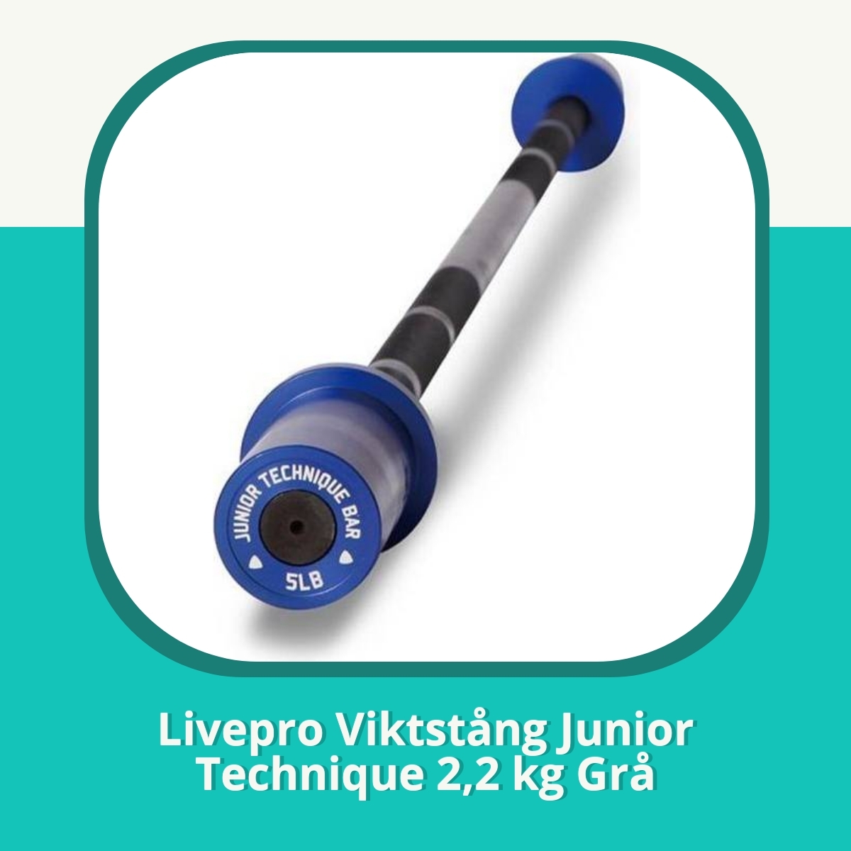 Recension Livepro Viktstång Junior Technique 2,2 kg Grå