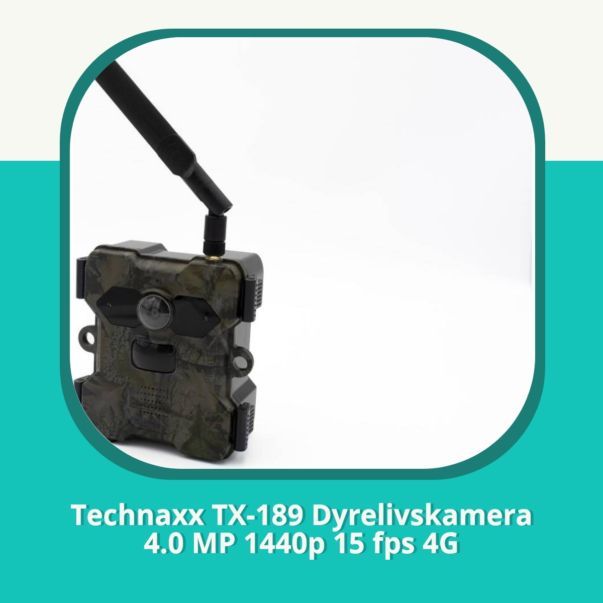 Anmeldelse af Technaxx TX-189 Dyrelivskamera 4.0 MP 1440p 15 fps 4G