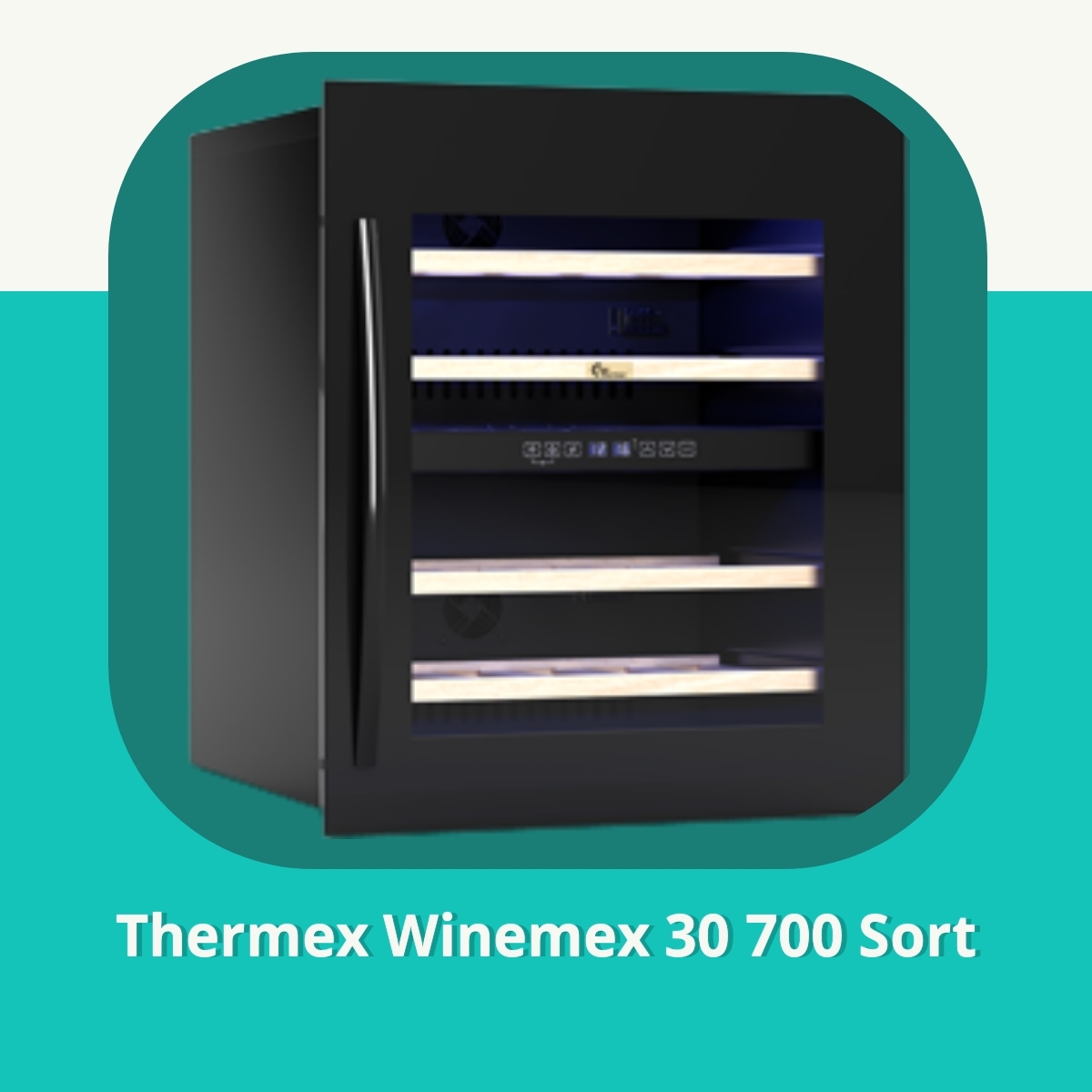 Anmeldelse af Thermex Winemex 30 700 Sort