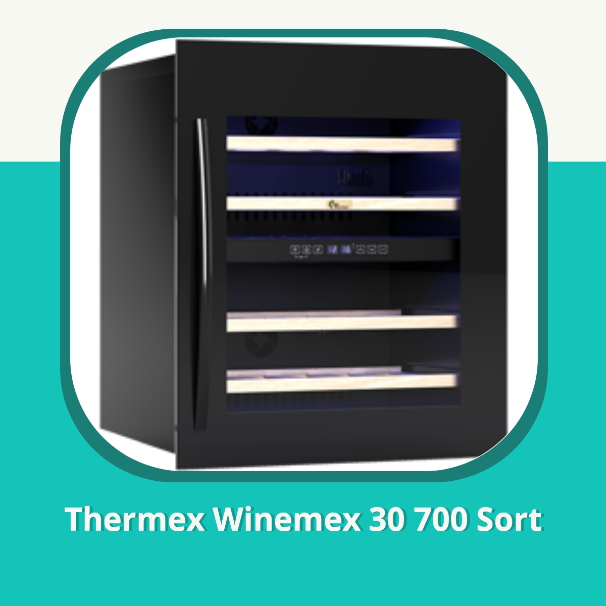 Anmeldelse af Thermex Winemex 30 700 Sort