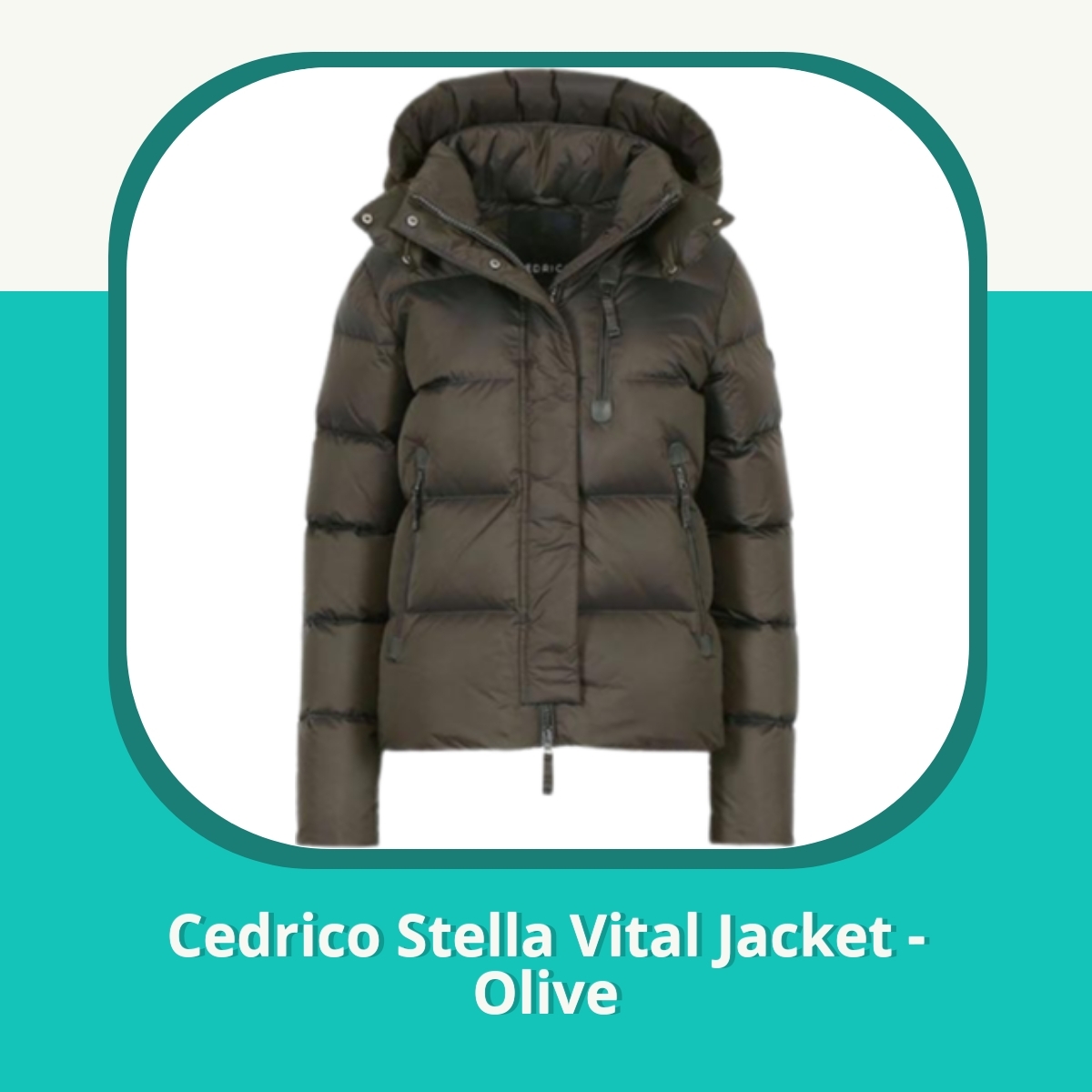 Anmeldelse af Cedrico Stella Vital Jacket - Olive