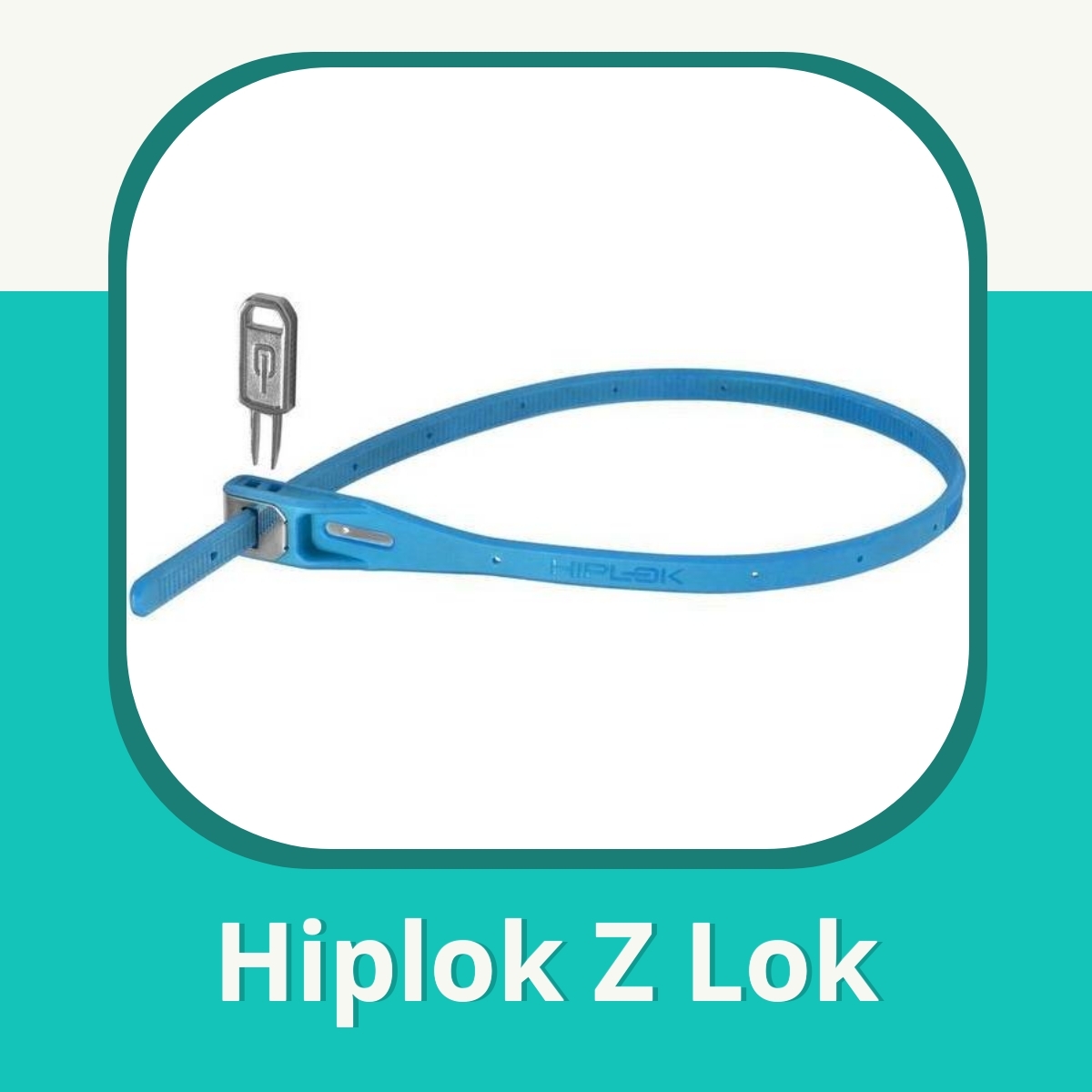 Anmeldelse af Hiplok Z Lok